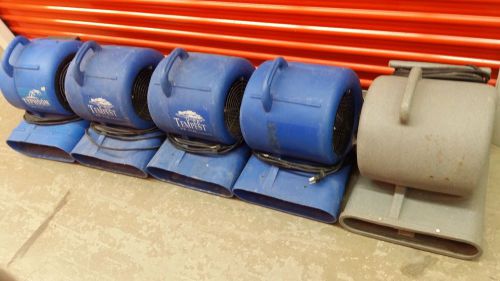 5 Air Mover Carpet Dryer Blowers