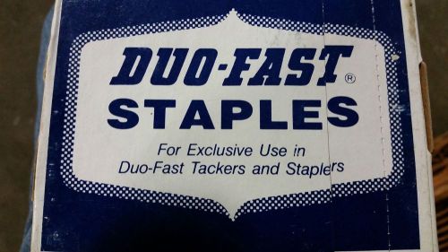Duo-Fast staples 1/2 5316 cx