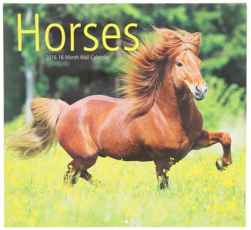 16-Month 2016 HORSES Wall Calendar NEW &amp; SEALED Beautiful Ponies Pony