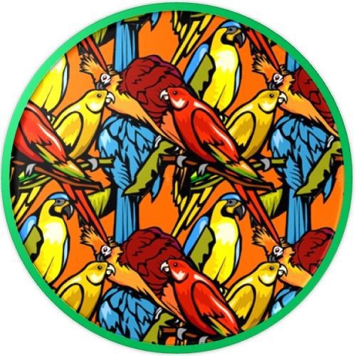 30 Custom Tropical Bird Art Personalized Address Labels