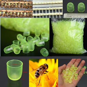 100Pcs Green Queen Bee Cell Cups Royal Jelly Cups Rearing Farmer Beekeeping Tool