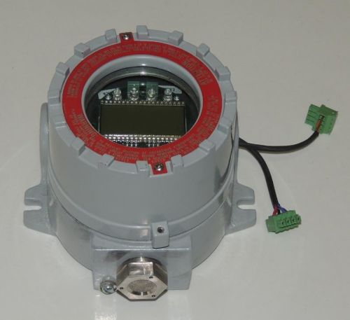 RAE FGM-1000 RAEGuard PID Photoionization Detector Transmitter 999 ppm