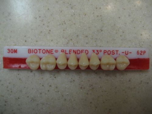 Dentsply Trubyte BioTone 33° Upper Posterior Mould 30M / 62P