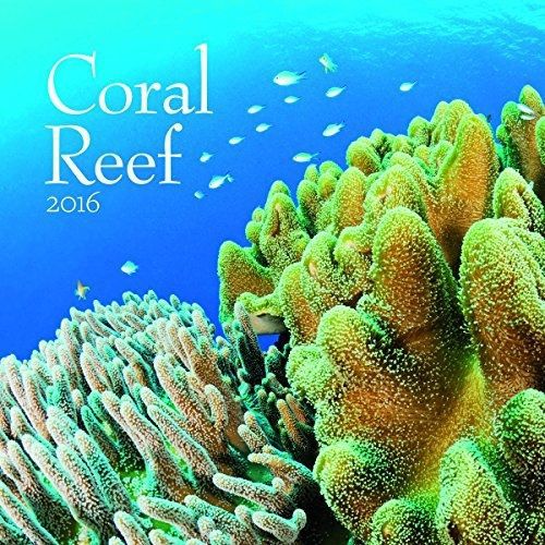 Turner Coral Reef 2016 Wall Calendar (8940016)