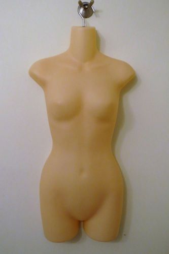 Female Torso Hollow Back Manniquin  EUC