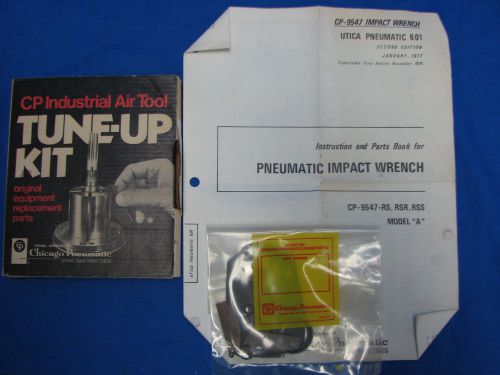 Chicago Pneumatic Air Tool Tune Up Kit CP-9547 RS RSR RSS Mpdel A CA-132254