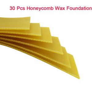 30PCS Beehive Wax Beekeeping Equipment Honey Hive Equipment Tool Supplies
