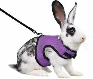 Niteangel Adjustable Soft Harness with Elastic Leash for Medium, Purple