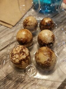 Mixed coturnix hatching eggs.