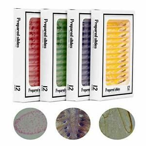 LinkMicro Microscope glass plate 4 types Plastic sample Children ... From Japan