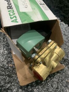 STERIS P117956359 0.5&#034; NPT BRASS WATER SOLENOID VALVE SERIES-210G 29679485 8210G