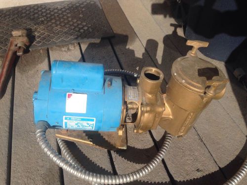 Premier Pool Pump Bronze1081 with Strainer