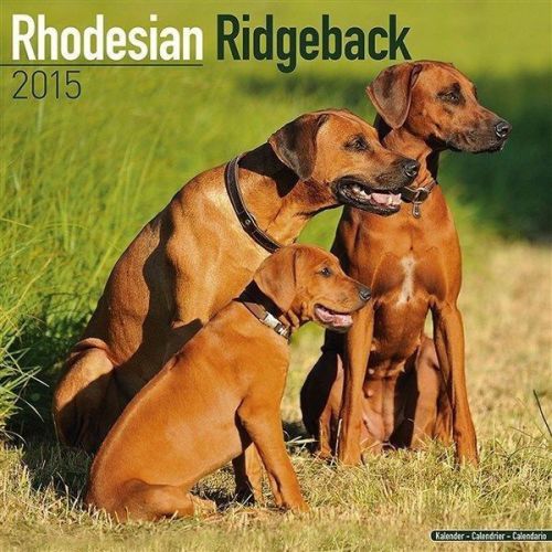NEW 2015 Rhodesian Ridgeback Wall Calendars -  FREE USPS 2 DAY SHIPPING!
