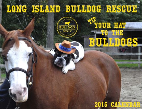 Long Island Bulldog Rescue - 2015 Calendar