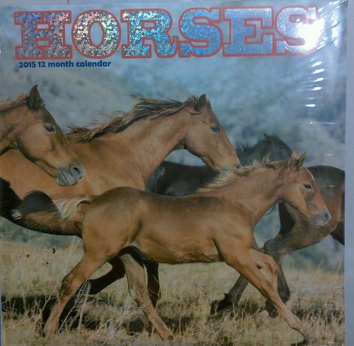 2015 Calendar HORSES 12 x 12 New
