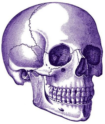 30 Custom Purple Skeleton Head Personalized Address Labels