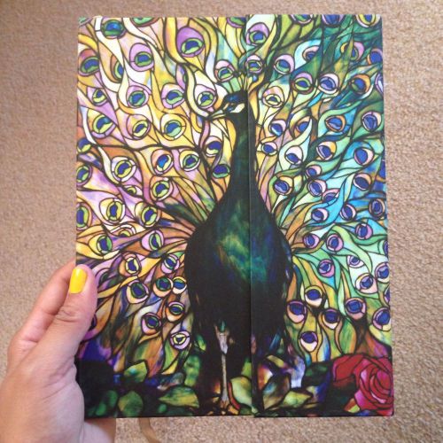 Peacock Decorated Hardcover Notebook