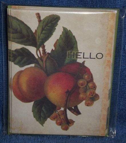 Hello Cards from Michaels Peaches and Grapes Cover 3-3/4&#034; x 5&#034;