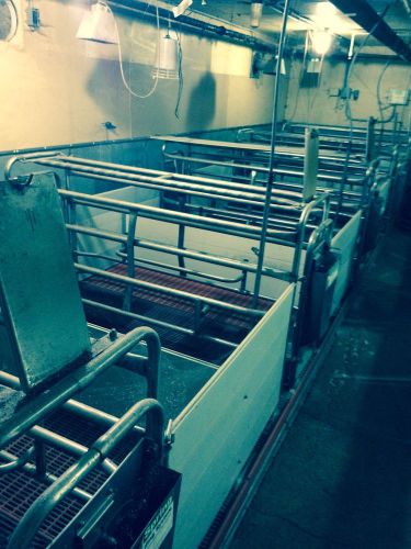 4 Unit Farrowing Stalls w/ feeder and floor Stainless Steel for Swine hogs