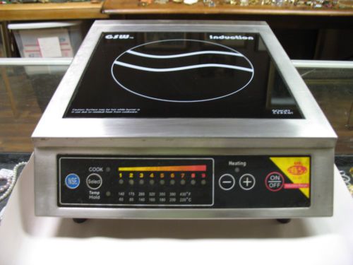 GSW Induction Range Countertop Cooktop Model #CU-18A