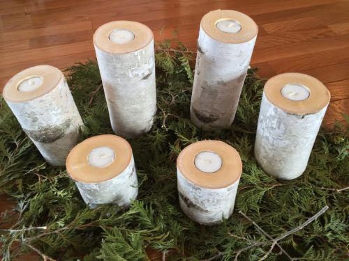 Six White Birch Candle Stands
