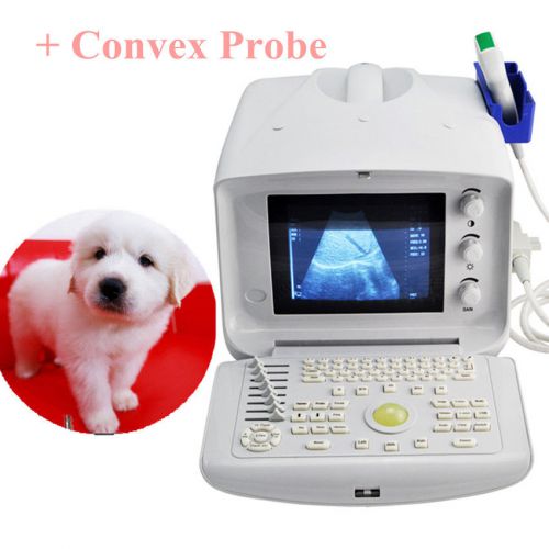 Vet veterinary portable ultrasound machine scanner with 3.5mhz convex probe + 3d for sale