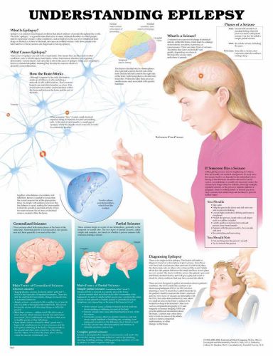 Understanding Epilepsy / Seizures * Anatomy Poster * Anatomical Chart Company