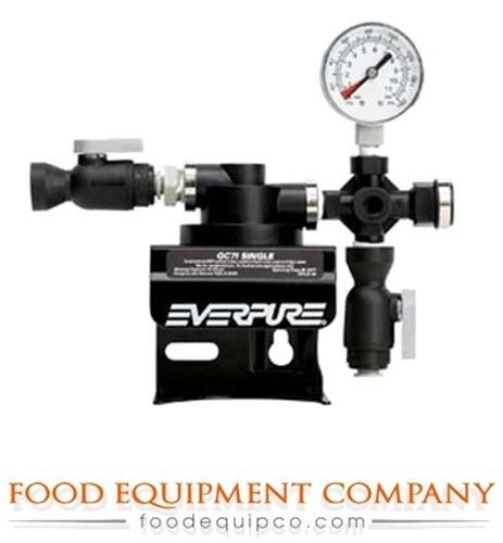 Everpure ev927241 qc7i-single filter head with built-in shut-off for sale