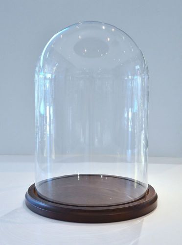 Large Glass Dome With Wood Base Display Case Brand New 11.75&#034; x 8&#034; diameter