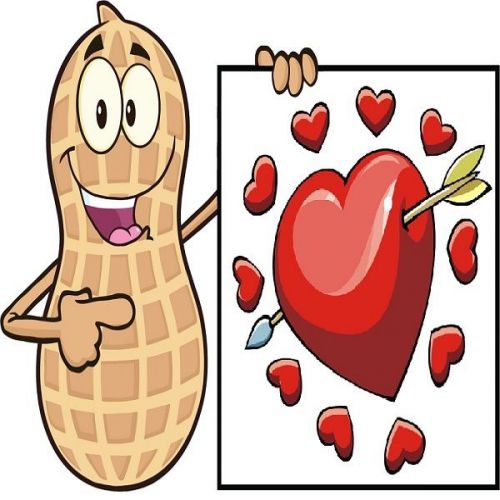 30 Custom Valentine Peanut Personalized Address Labels