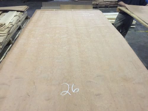 Wood Veneer Pommele Makore 48x70 1 Piece Wood Backed &#034;EXOTIC&#034;1036-8 26