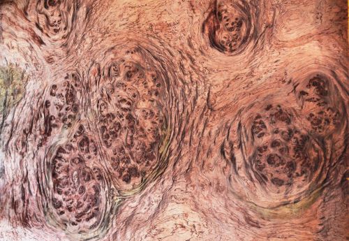 BUBINGA BURL VENEER ON 20 MIL PAPER