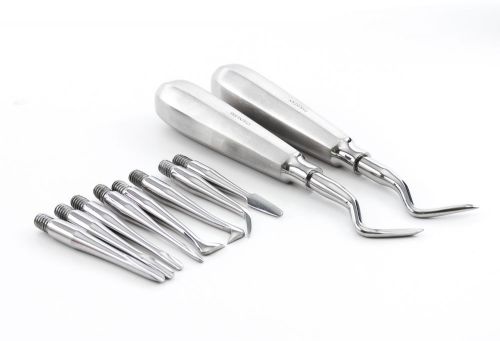 Dental apical extraction root elevator kit straight curved flat tips stainless for sale