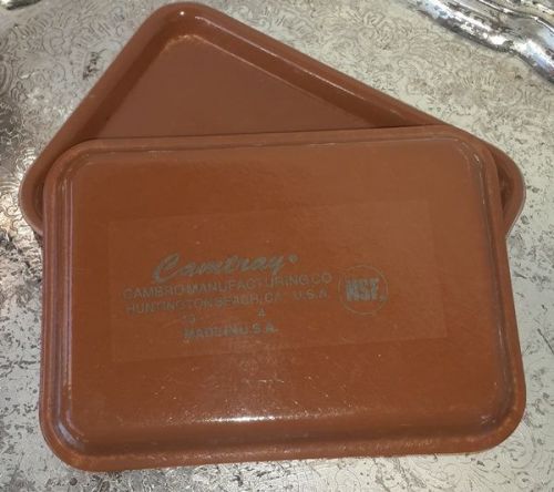 Brown CAMBRO SERVING TRAYS  2 Pcs Camtray