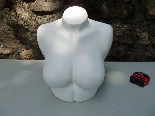 *FEMALE* Mannequin 36 D Bust, Busty, Bra, Necklace, Shirt Chest Model Store EUC!