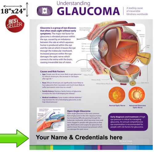 Understanding Glaucoma Poster for Patient Education &#034;Must See&#034; Wall Chart