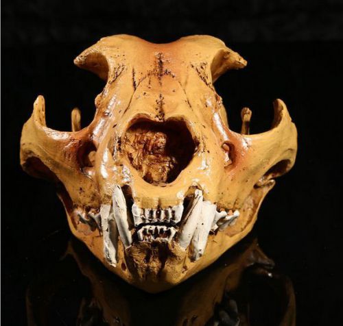Dental canine Jaw Teeth tongue Model  VET Anatomy DOG SKULL display study REPLI