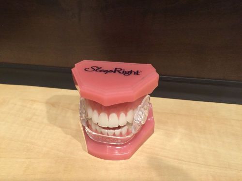 SleepRight Typodont Demonstration Model plastic study teeth model Dental 1:1