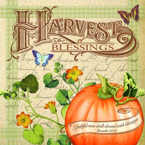 Napkin-Harvest BlessingS (6.5&#034; X 6.5&#034;)-1 Package C