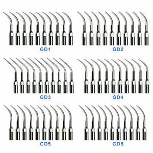 10 Dental Ultrasonic Piezo Scaler Tips Fit EMS / DTE GD1-GD6