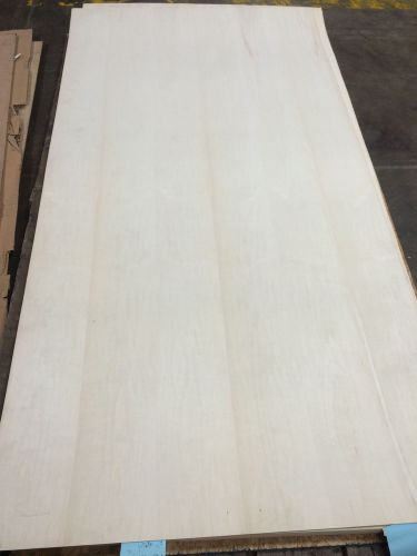 Wood veneer holly 48x98 1pc total 10mil paper backed &#034;exotic&#034; skid 519.1 for sale