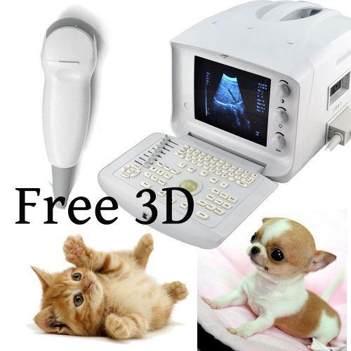 NEW Veterinary VET Ultrasound Scanner machine Micro-Convex Probe 3D work cat CE