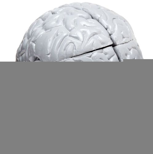 AWW CH1 Budget Smart Brain Model 3 Pts