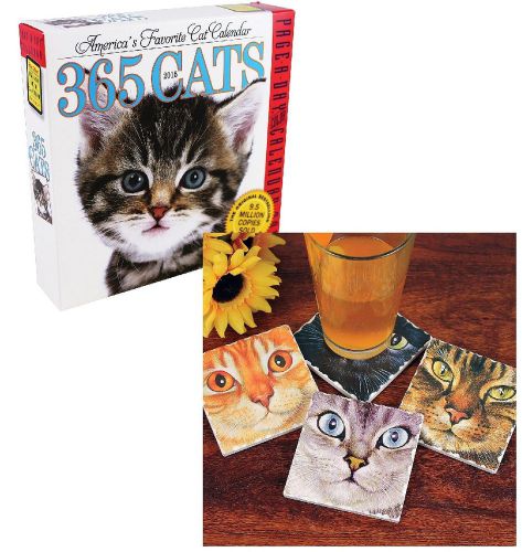 New cat lover desk gift set - 2015 daily calendar and set of 4 stone coasters for sale