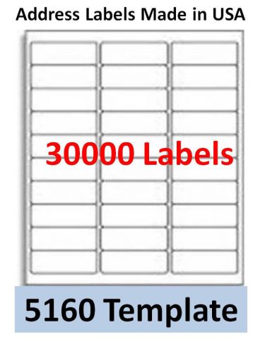 30000 Laser/Ink Jet Labels 30up Address Compatible with Avery 5160. 100 Sheets