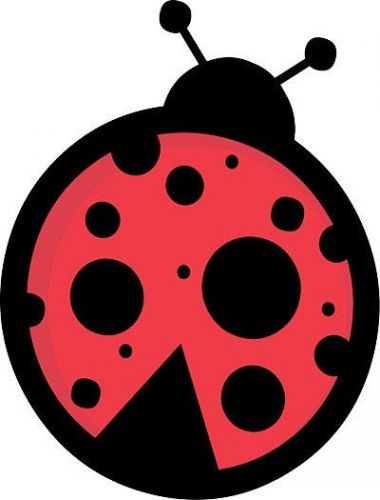 30 Custom Simple Ladybug Personalized Address Labels