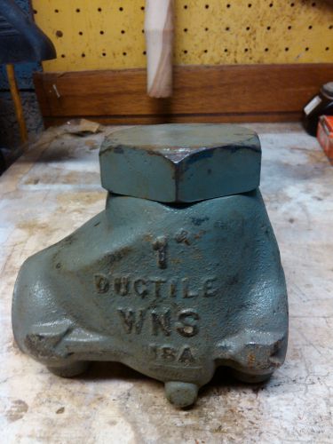 Oil Patch Swing Check Valve,Ductile Iron, 1&#034;