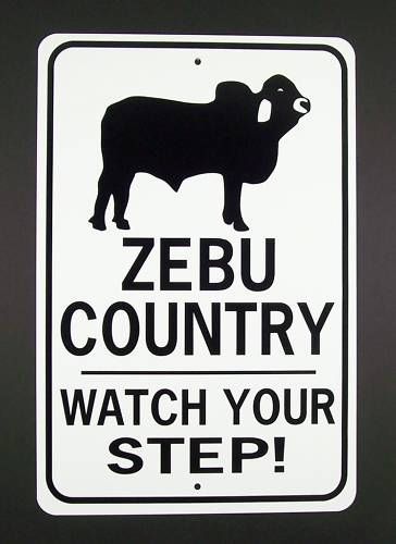 ZEBU COUNTRY Watch Your Step  12X18 Aluminum Cow Sign  Won&#039;t rust or fade
