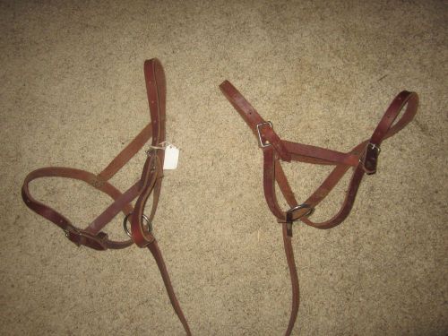 two NEW LEATHER Calf (Cow) Halters