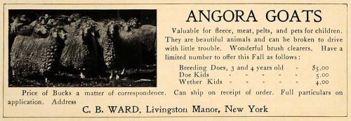 1907 ad angora goats c b ward livingston manor breeders - original cl9 for sale
